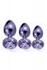 Nixie metal butt plug trainer set, purple metallic